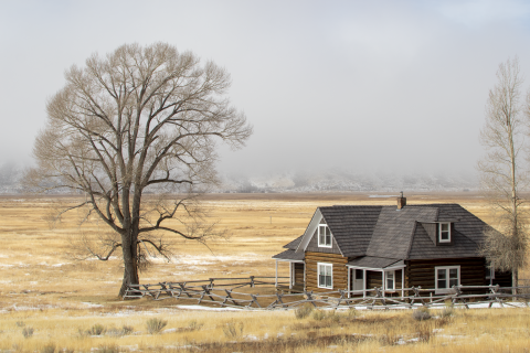 Historic house in open field with several leafless trees.