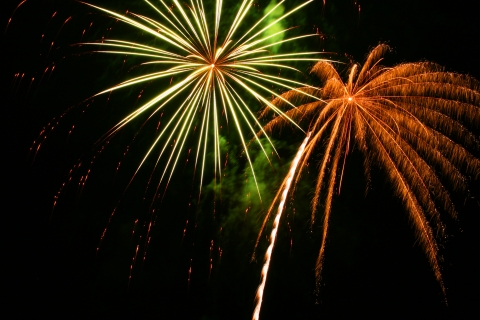 Fireworks in the night sky