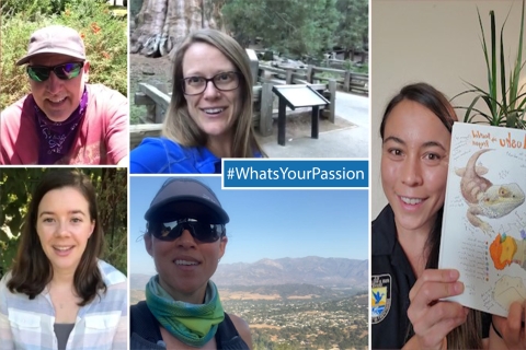 A collage of staff members. A banner reads "#WhatsYourPassion
