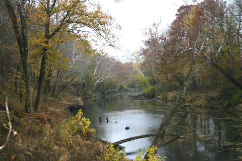 River in autumn