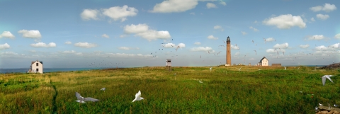 Petit Manan Island panoramic view