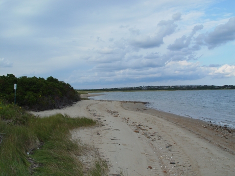 Bean Point Shoreline heading to Andy's Way