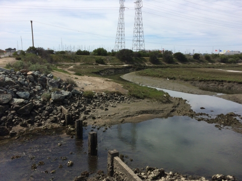 Marsh during low tide. Power lines in the foreground.