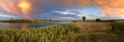 Summer evening along the Green River at Seedskadee. Milkweed lines the near bank of the river with a few cottonwoods on the horizon and blues, yellows and golds highlighting the evening sky.