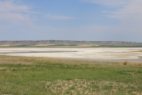 Lake with alkaline crust and bare hills in the distance
