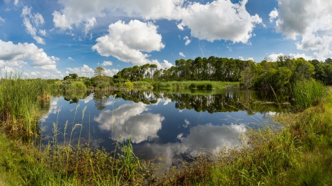 View of Ibis Pond with clouds reflecting off of the water.