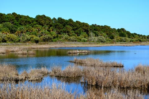Upper Summerhouse Pond at Bulls Island, Cape Romain NWR