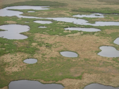 lakes surrounded by brown tundra