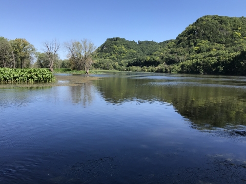 Summer photo of the Mississippi River with Bluffs covered in green trees