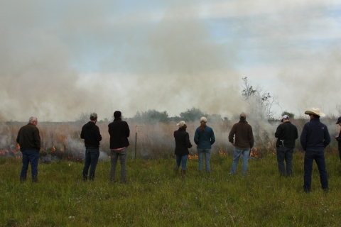 Coastal Prairie Burn Workshop
