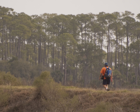 Hiker enjoying a walk of the Florida National Scenic Trail