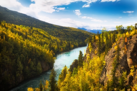 View of Kenai River in the Kenai National Wildlife Refuge with vegetation showing fall colors. 