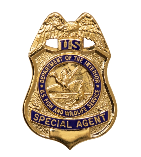 Special Agent badge