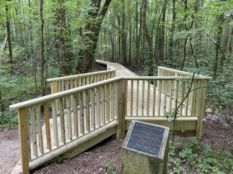 Boardwalk at Beaverdam Creek Swamp