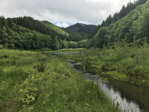 Creek with vegetation and hills