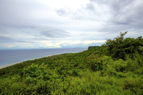 A coastal view of Guam National Wildlife Refuge that overlooks the ocean. The land is covered in lush, green plant live. The clouds paint a grey hue across the sky where it meets the ocean in the distance.