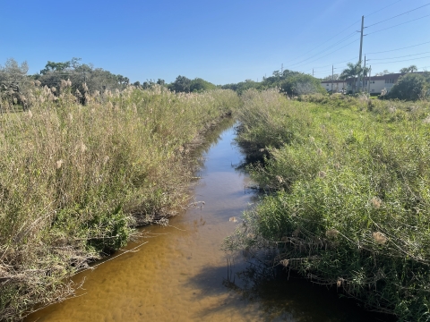 South Florida Canal, Vero Beach FL