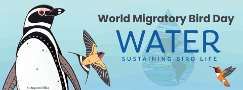 World Migratory Bird day Theme