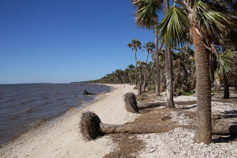 Area of St. Vincent NWR affectionately known as Tahiti Beach.