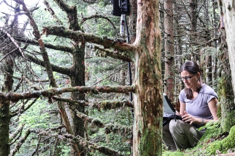 Service biologist Sue Cameron