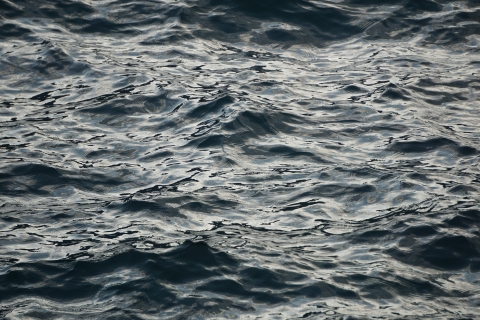 Sunlight reflecting on waves of dark water