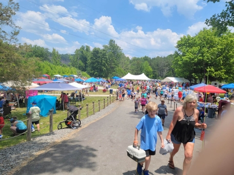 Crowd at large outdoor event 