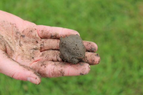 A ball of brown mud resting in a hand