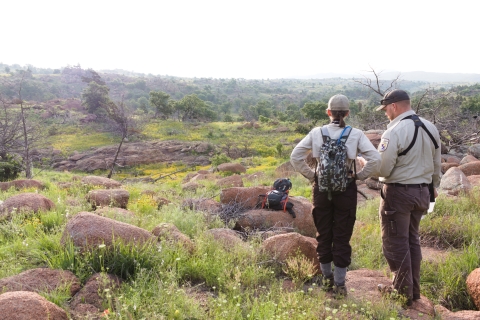 Two people look out over a rocky fields of flowers with trees in the background.
