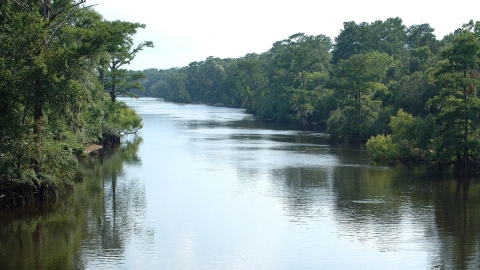 Ochlockonee River in Florida