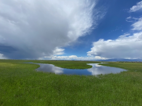 Meandering Rock Creek on Monte Vista Refuge