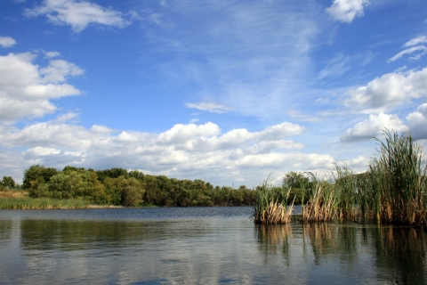 wetland with blue sky and white clouds