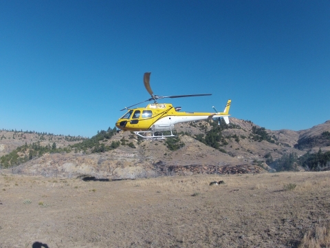 A yellow and white helicopter rises off the ground.
