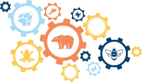 A brightly colored illustration shows icons of animals representing a variety of different endangered species.