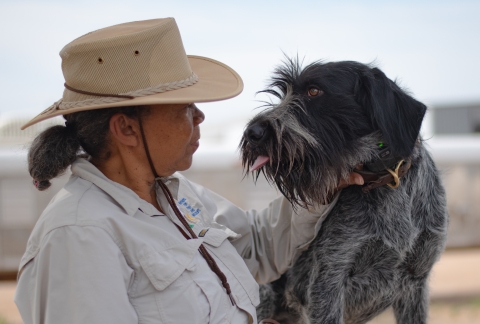 A person wearing a hat stares face to face with a medium sized dog with black and grey fur.