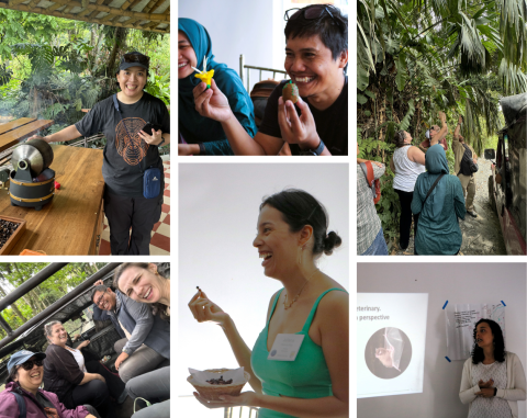 A collage of six images, including a woman standing and spinning a coffee roaster, a selfie of four people riding in the back of an open-air jeep, a man smiling while holding up clay creations of a yellow flower and a brown fruit, a woman standing and laughing while holding a roasted ant, a group of people looking up into tree leaves on the side of a road, and a woman presenting with a picture of a bat on the showing slide. 