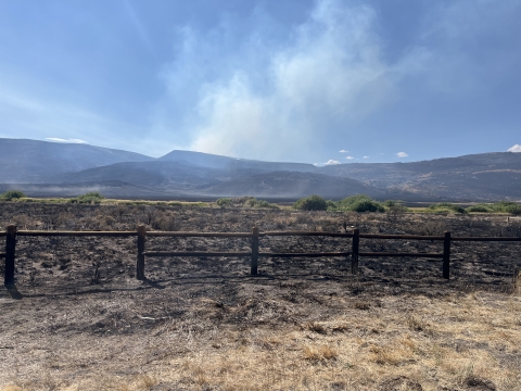 Landscape view shows grass field and fence blackened from wildfire damage, with smoke emanating and hills in the distance. 