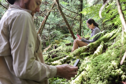Two biologists in a forest, one looking at a phone the other measuring forest canopy cover