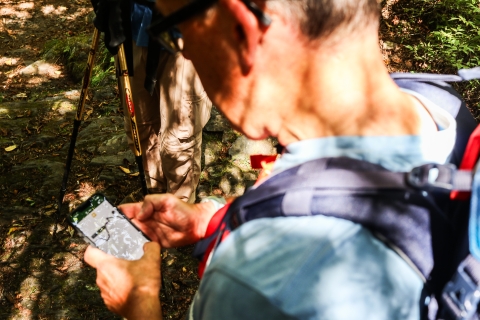 Man standing in a forest looking at a map on a phone screen
