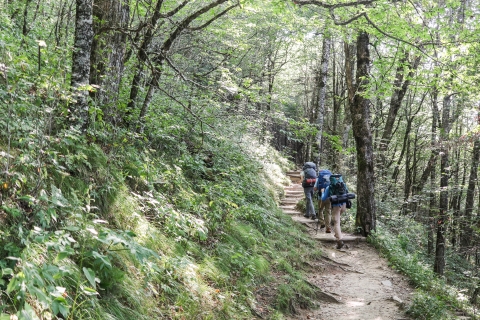 Three people, each wearing a large backpack, hiking down a trail