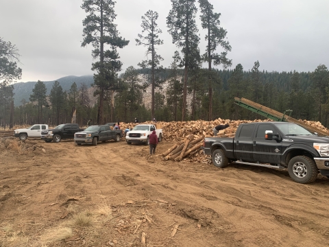 Image of firewood being transported by various trucks