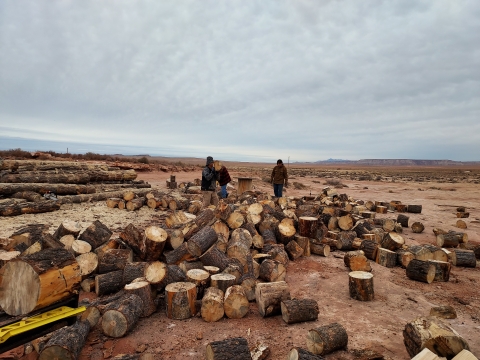 Image of a crew working, logs of wood are being cut into firewood
