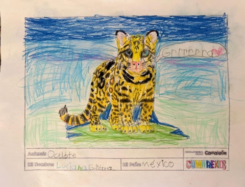 child's drawing of an ocelot