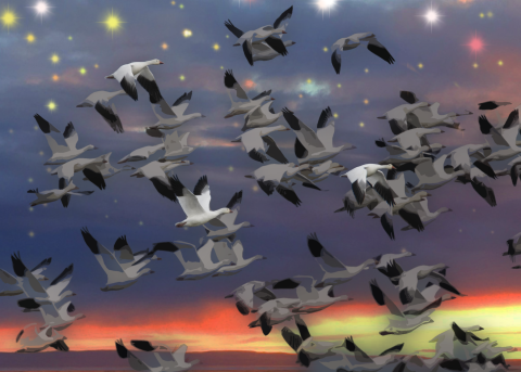 Photo art of snow geese flying with a sunset in the background