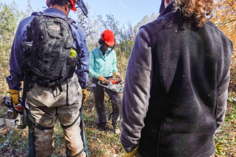 Three people, two holding chainsaws and wearing protective gear