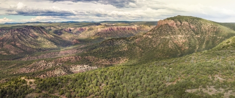 Aerial view of a national forest
