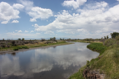 A river surrounded by grasses on either side