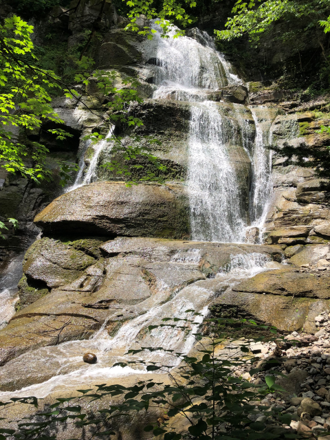 Water falling down a rocky mountain face surrounded by foliage