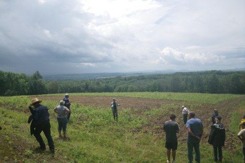 A group of individuals stand in a field listening to someone speaking