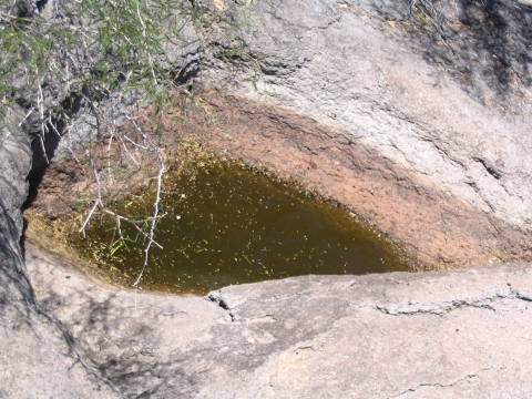 A pool of water in a rock formation