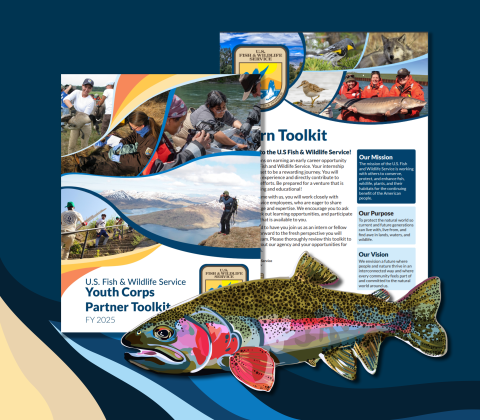 A digital collage of two documents, prominently featuring stylized collages using photos of fish, wildlife, and early career professionals. Overlaid on top of the documents is a digital illustration of a brightly colored fish, with red cheeks and highlights and black spots across its green body.